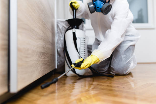 Best Pest Control Near Me in Beach City, TX