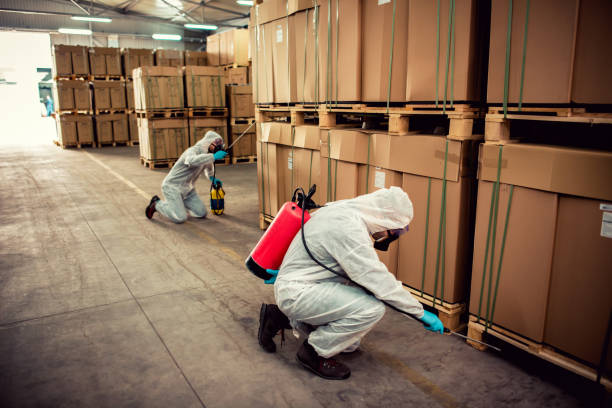 Best Ant Control Services  in Beach City, TX