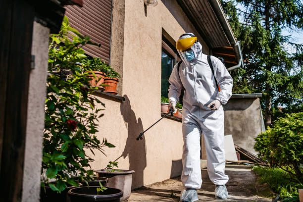 Best Exterminator Services  in Beach City, TX