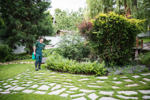 Best Commercial Pest Control Services  in Beach City, TX