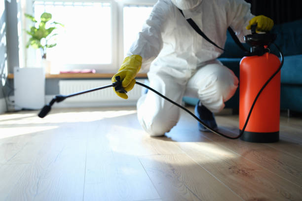 Best Pest Prevention Services  in Beach City, TX