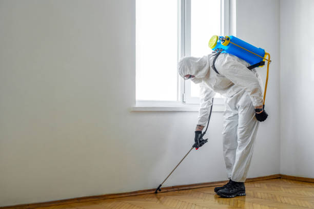 Best Affordable Pest Control Services  in Beach City, TX