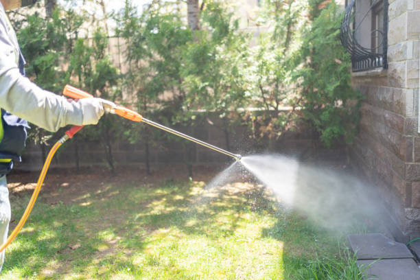 Best Insect Control  in Beach City, TX