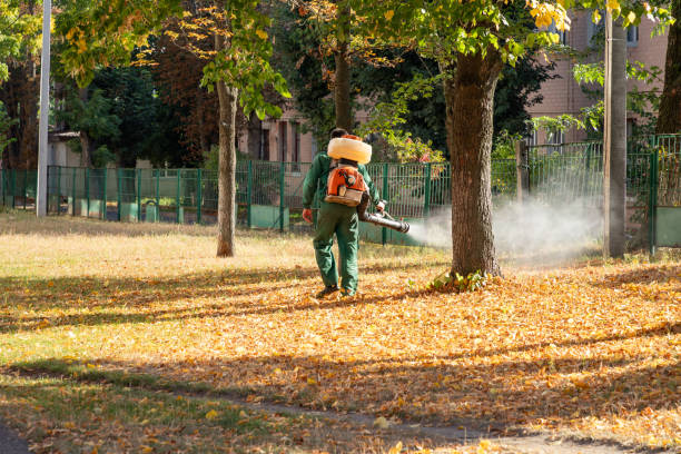 Best Pest Control for Homes  in Beach City, TX